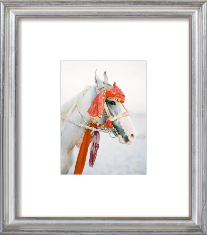 Marwari by Andrew Jacona for Artfully Walls