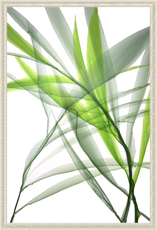 Tropical Study no. 3 by Marina Dunbar  for Artfully Walls
