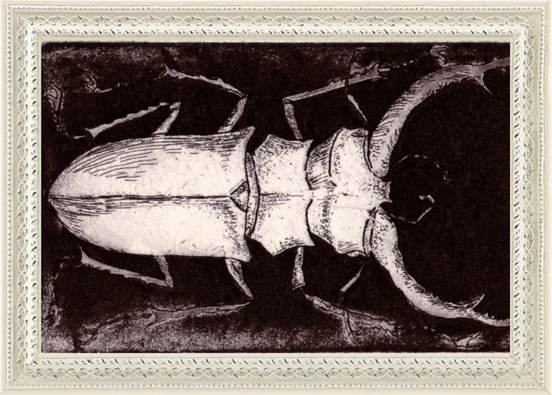 White Beetle on Dark Brown by Tennopent Sooster for Artfully Walls