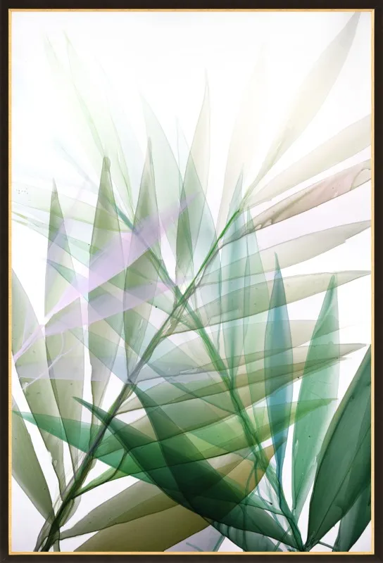Tropical Study no. 8 by Marina Dunbar  for Artfully Walls