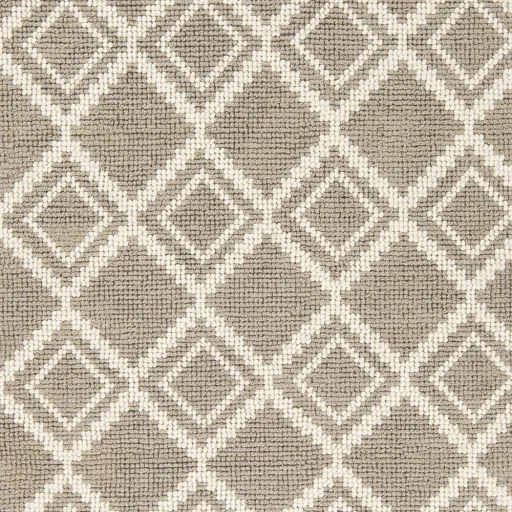 Aztec Beige Indoor 3'3" x 5'3" Handmade Rug