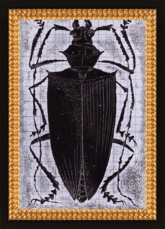 Black Beetle on Grey by Tennopent Sooster for Artfully Walls