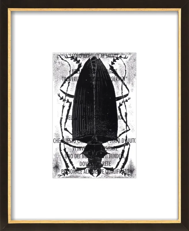 Black Beetle on Words by Tennopent Sooster for Artfully Walls