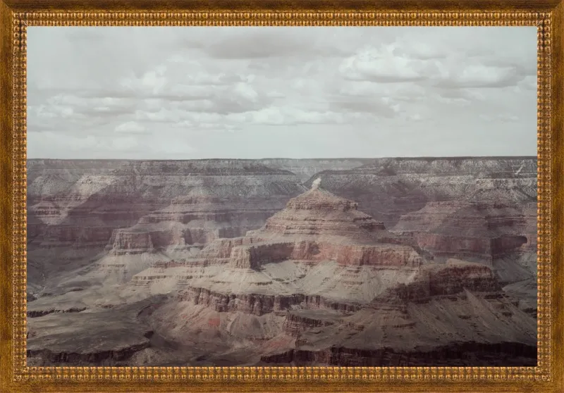 Canyon Reds by Courtney Crane for Artfully Walls