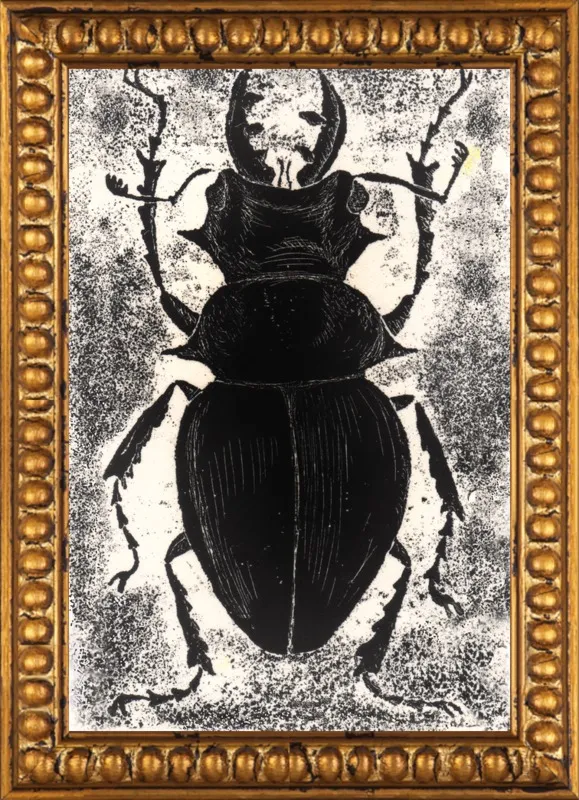 Black Beetle on White by Tennopent Sooster for Artfully Walls