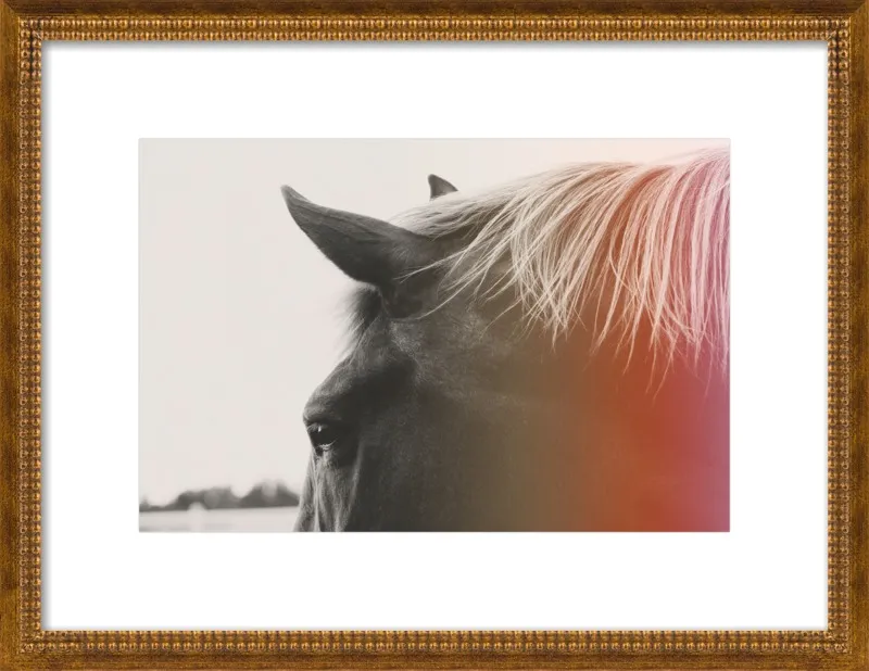 Pink Pony by Alicia Bock for Artfully Walls