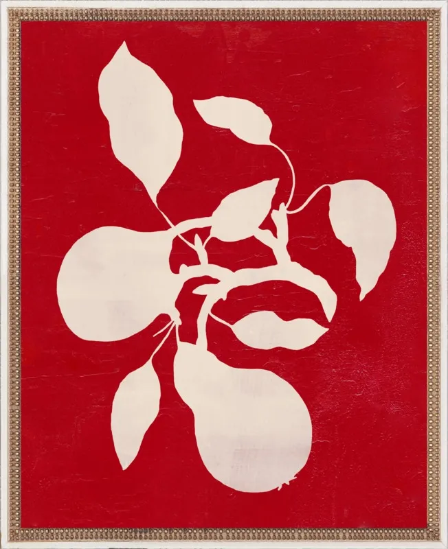pears by Ruti Shaashua for Artfully Walls