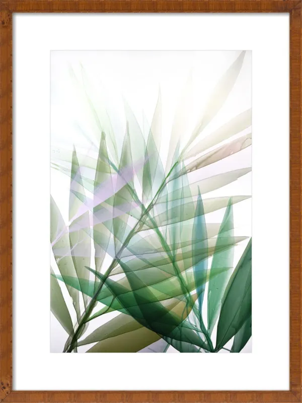 Tropical Study no. 8 by Marina Dunbar  for Artfully Walls