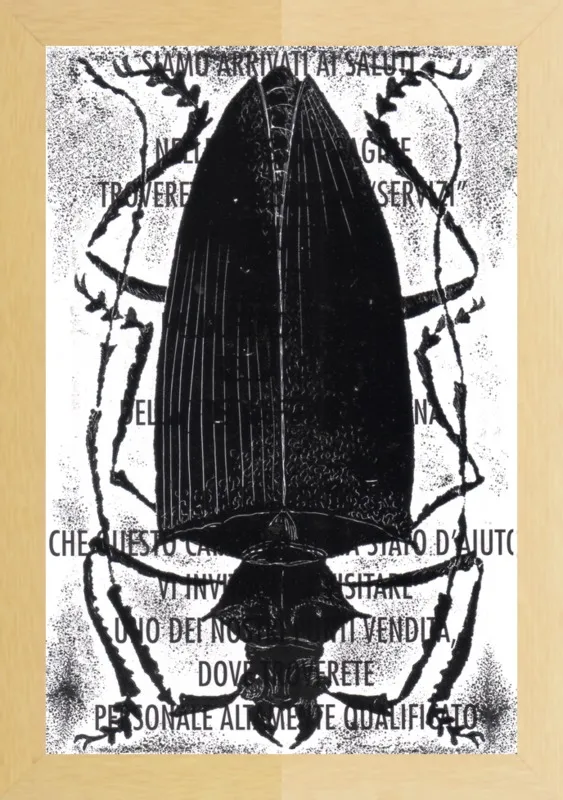 Black Beetle on Words by Tennopent Sooster for Artfully Walls