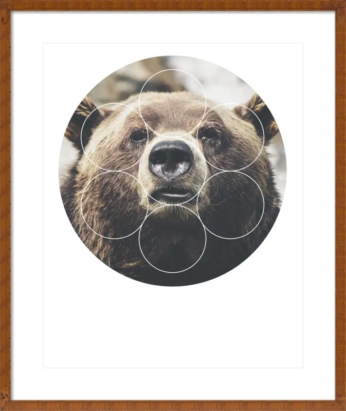 Big Bear Buddy - Geometric Photography by Emiliano Deificus for Artfully Walls