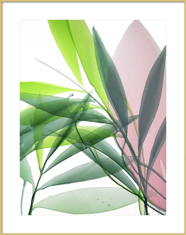Tropical Study no. 15 by Marina Dunbar  for Artfully Walls