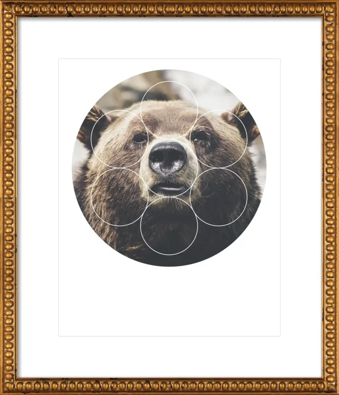 Big Bear Buddy - Geometric Photography by Emiliano Deificus for Artfully Walls
