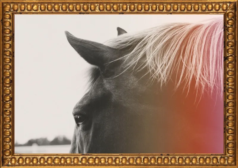 Pink Pony by Alicia Bock for Artfully Walls