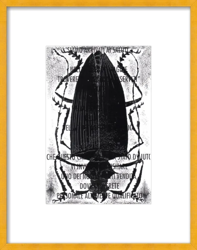 Black Beetle on Words by Tennopent Sooster for Artfully Walls