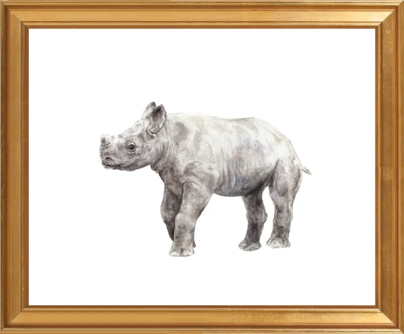 Baby Rhino Watercolor by Lauren Rogoff for Artfully Walls