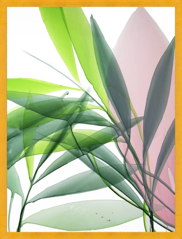 Tropical Study no. 15 by Marina Dunbar  for Artfully Walls