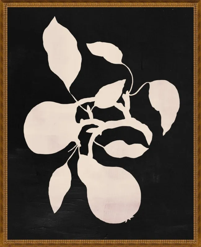 pears black and white by Ruti Shaashua for Artfully Walls