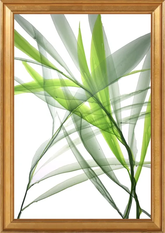 Tropical Study no. 3 by Marina Dunbar  for Artfully Walls