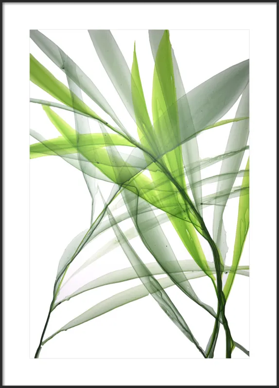 Tropical Study no. 3 by Marina Dunbar  for Artfully Walls