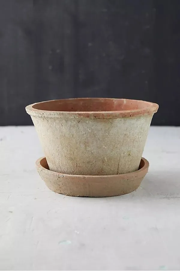 Earth Fired Clay Thin Rim Pot + Saucer Set