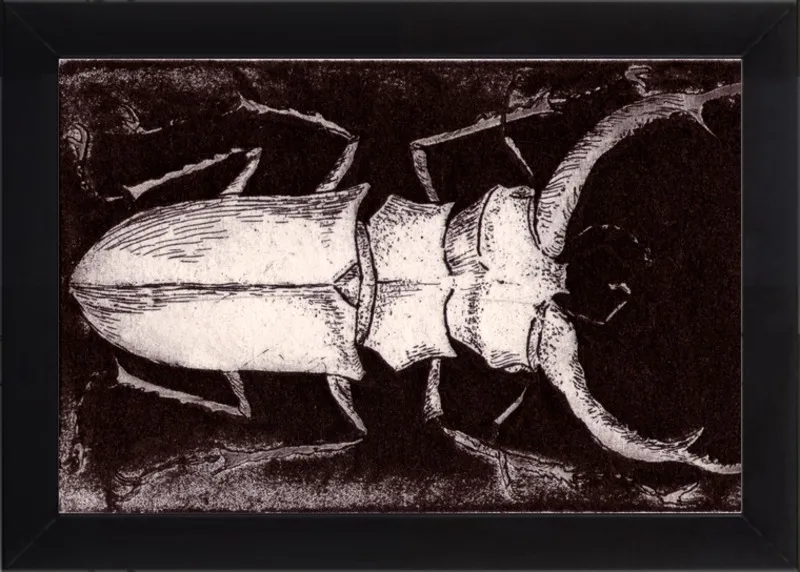White Beetle on Dark Brown by Tennopent Sooster for Artfully Walls