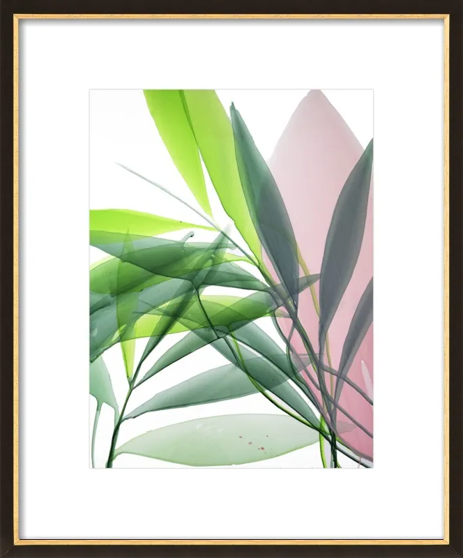 Tropical Study no. 15 by Marina Dunbar  for Artfully Walls