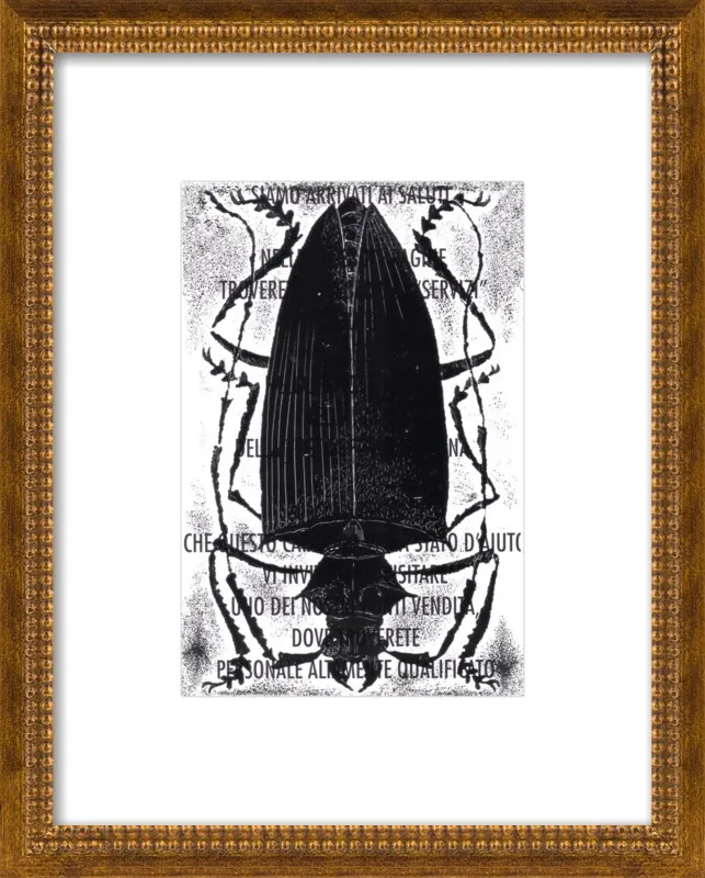Black Beetle on Words by Tennopent Sooster for Artfully Walls