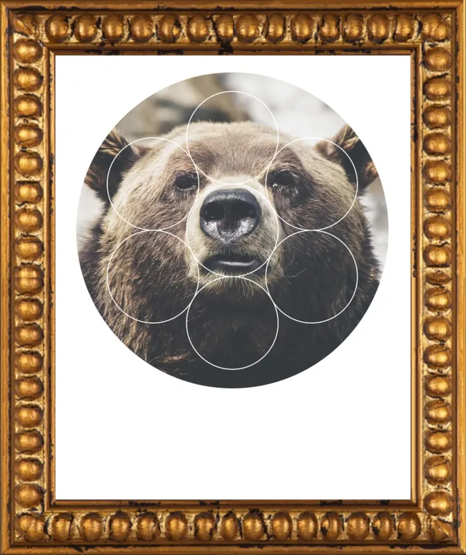 Big Bear Buddy - Geometric Photography by Emiliano Deificus for Artfully Walls