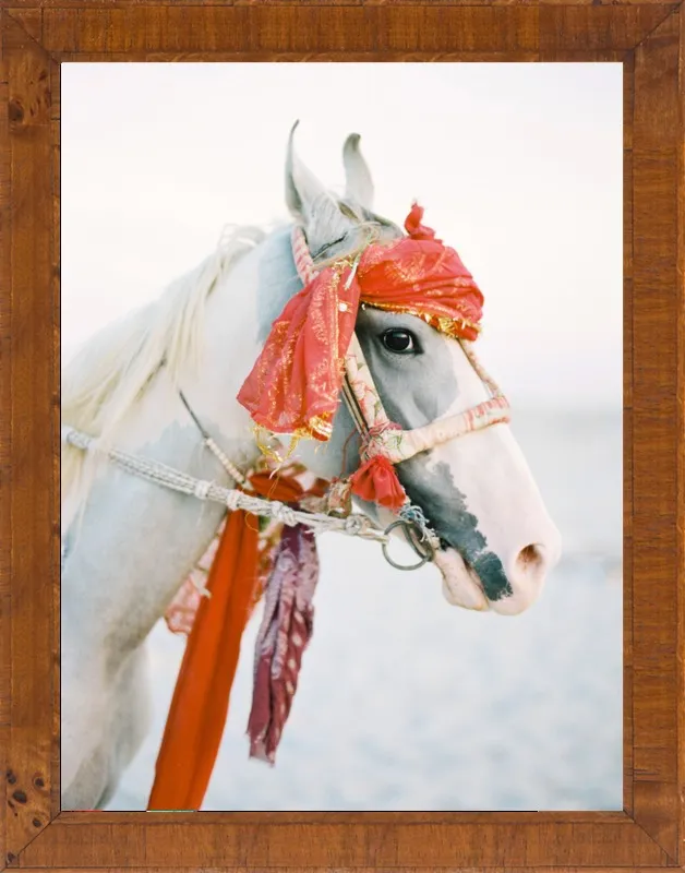 Marwari by Andrew Jacona for Artfully Walls