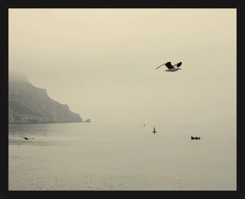 one day I will fly away by Ingrid Beddoes for Artfully Walls