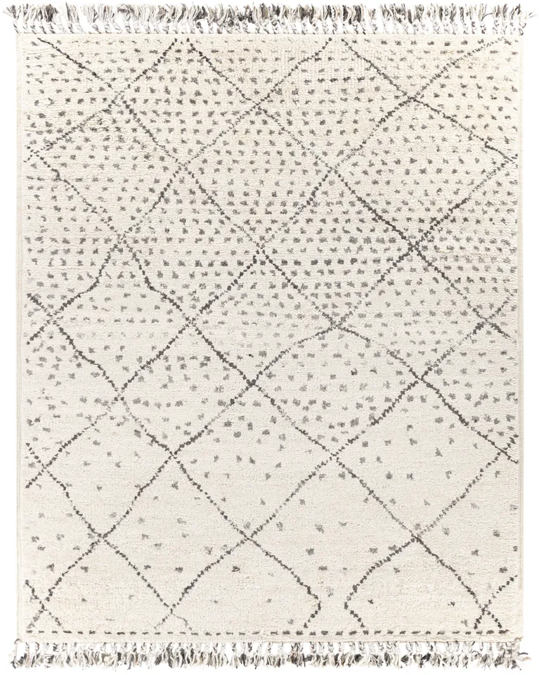 Meknes Beige Indoor 2' x 3' Handmade Rug