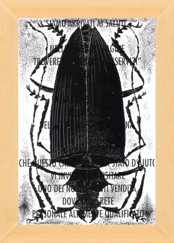 Black Beetle on Words by Tennopent Sooster for Artfully Walls