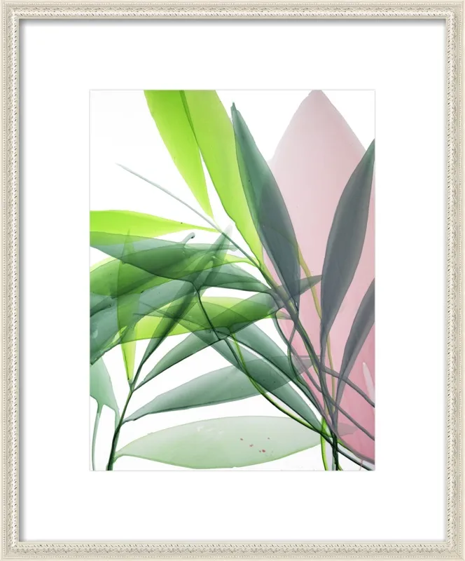 Tropical Study no. 15 by Marina Dunbar  for Artfully Walls