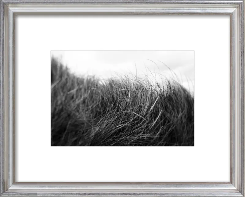 Beach Grass #3 by Alicia Bock for Artfully Walls