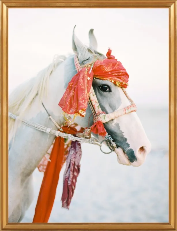 Marwari by Andrew Jacona for Artfully Walls