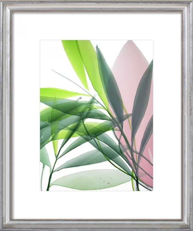 Tropical Study no. 15 by Marina Dunbar  for Artfully Walls