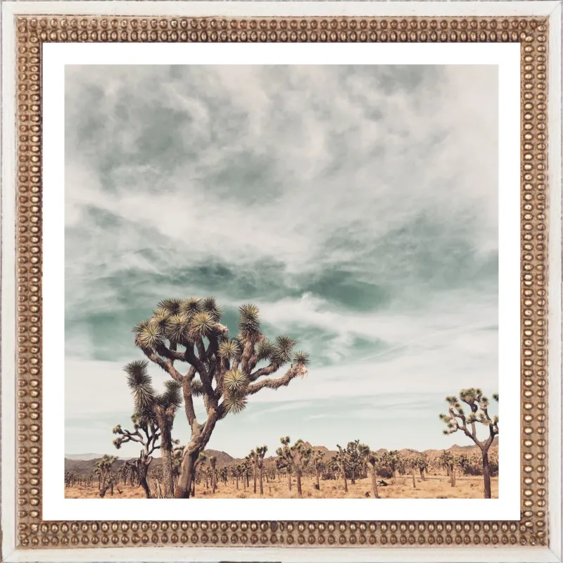 Joshua Tree Moment by Jan Weiss for Artfully Walls