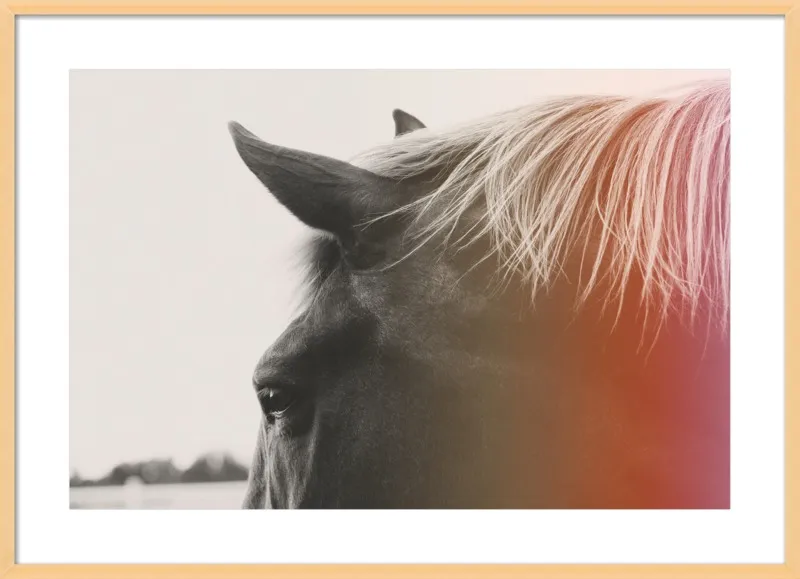 Pink Pony by Alicia Bock for Artfully Walls