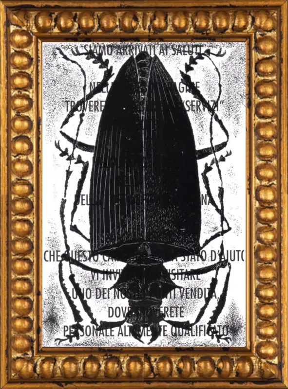 Black Beetle on Words by Tennopent Sooster for Artfully Walls