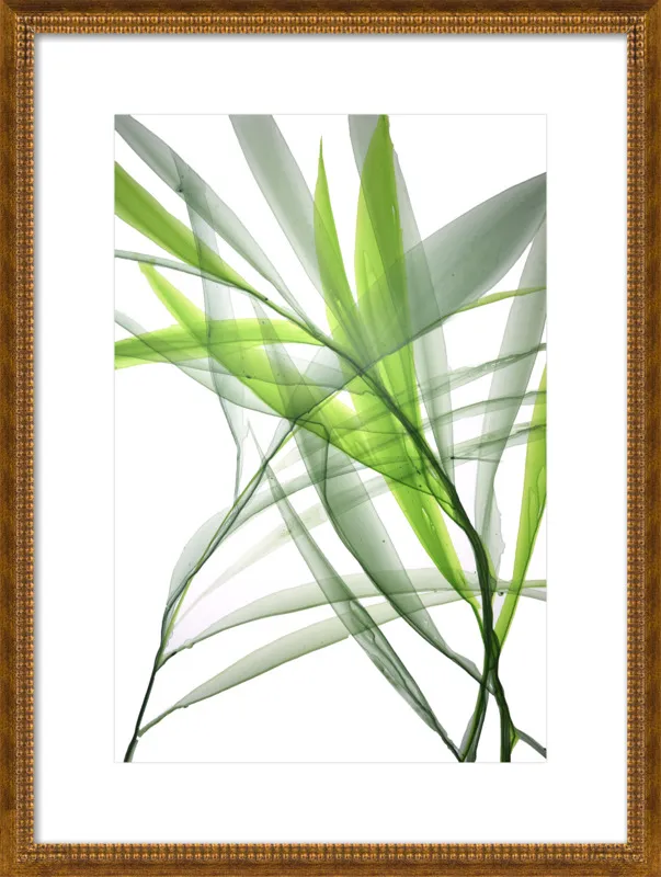 Tropical Study no. 3 by Marina Dunbar  for Artfully Walls