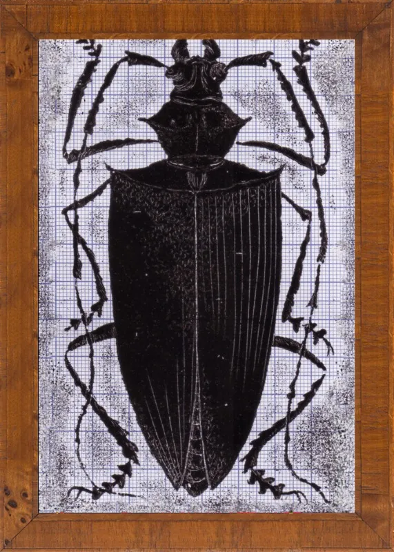 Black Beetle on Grey by Tennopent Sooster for Artfully Walls