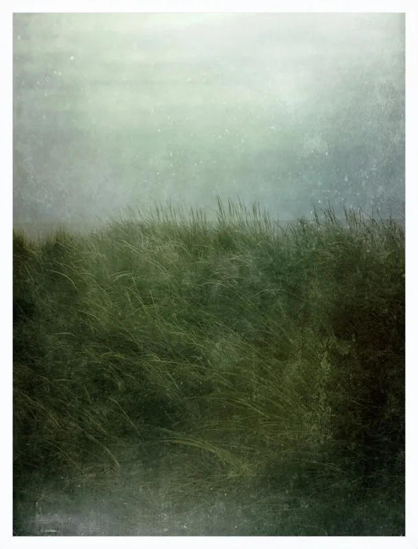 Twilight Beach by Olivia Joy StClaire for Artfully Walls