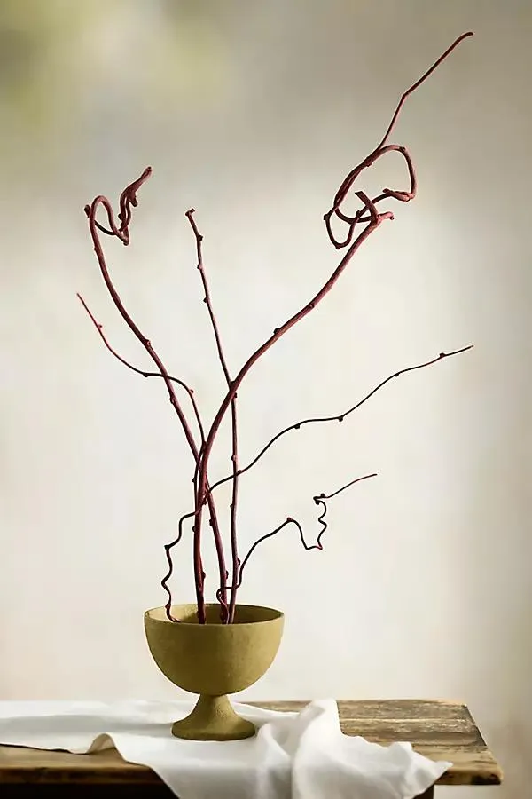 Dried Kiwi Vine Bunch