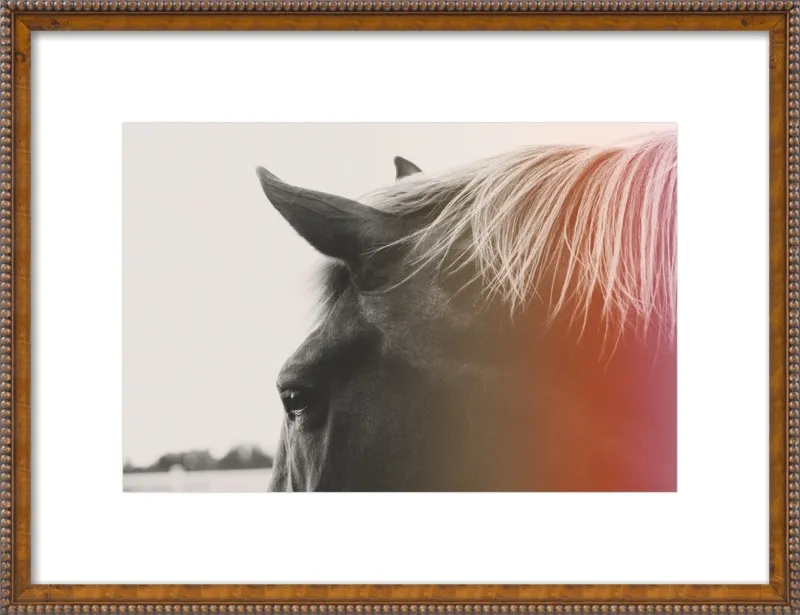 Pink Pony by Alicia Bock for Artfully Walls