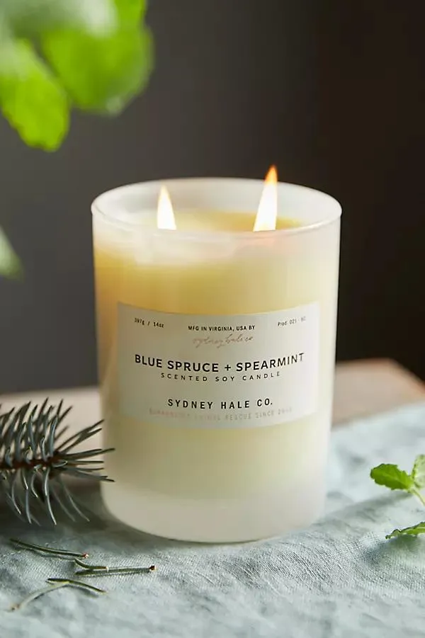 Terrain Sydney Hale Candle, Blue Spruce + Spearmint