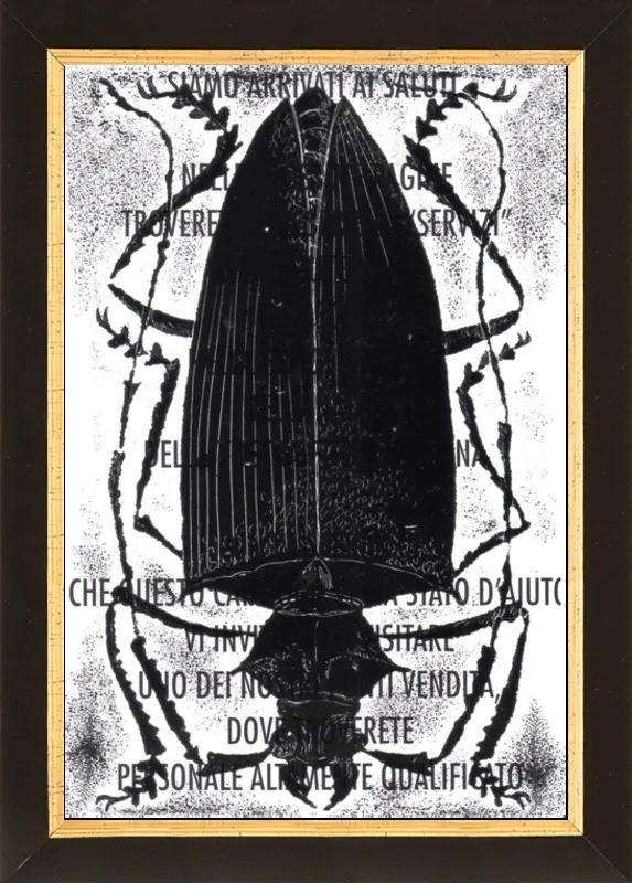 Black Beetle on Words by Tennopent Sooster for Artfully Walls