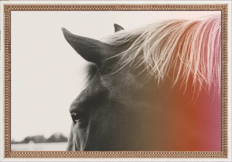 Pink Pony by Alicia Bock for Artfully Walls