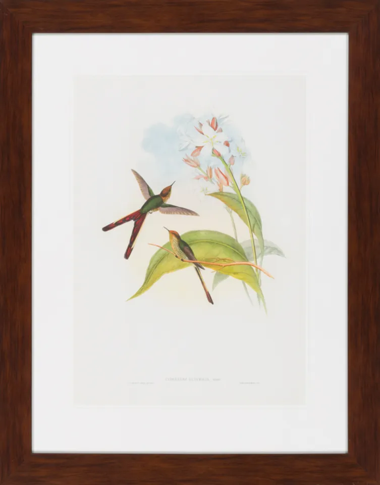 Surya Wall Decor LJ-4013 33"H x 26"W Framed Art