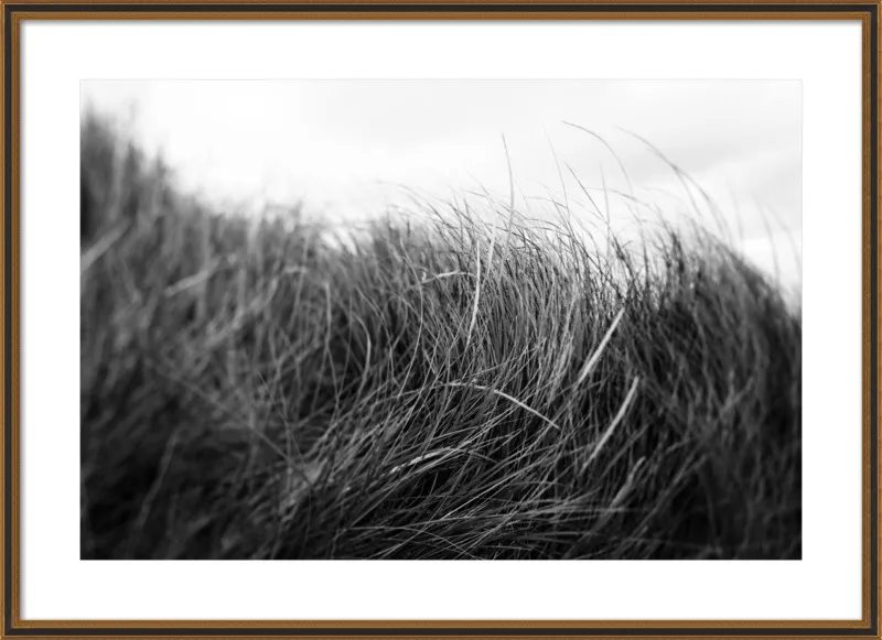 Beach Grass #3 by Alicia Bock for Artfully Walls