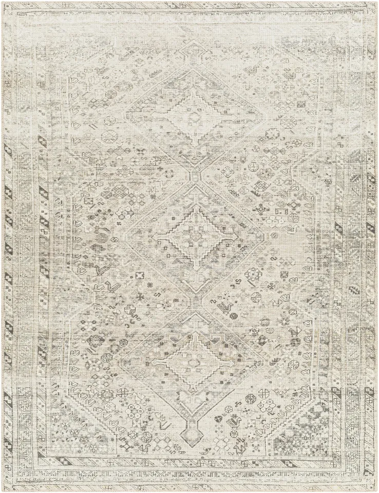 Amelie Gray Indoor 5'3" x 7'3" Machine Woven Rug